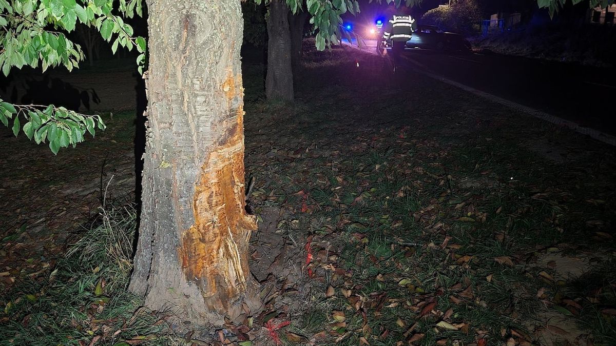 Opilý muž sjel v zatáčce ze silnice a narazil do stromu